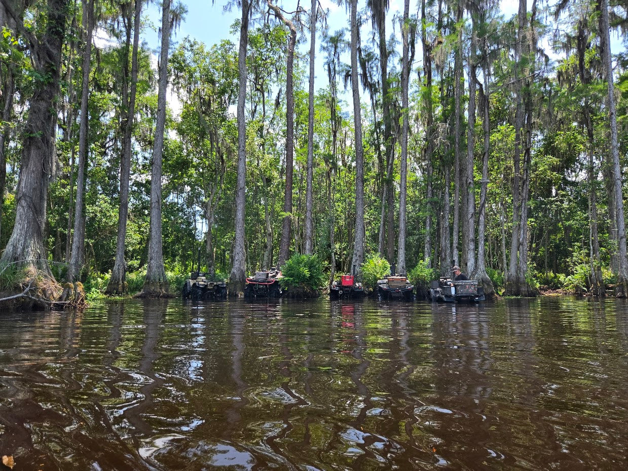 Swamp Testing on Brick Lake Trail – Terache